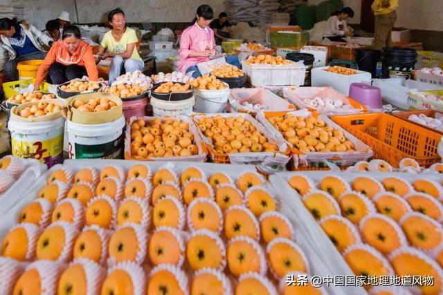 攀枝花是哪个省的城市，西部区（“四川特区”攀枝花）