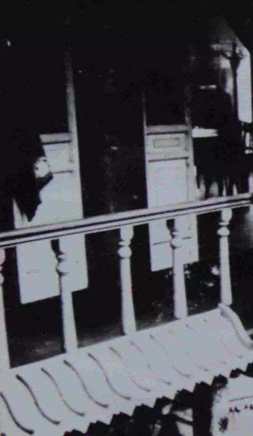 跑堂狗是什么，算命说的跑堂是什么意思（跑堂“瞎子狗”）