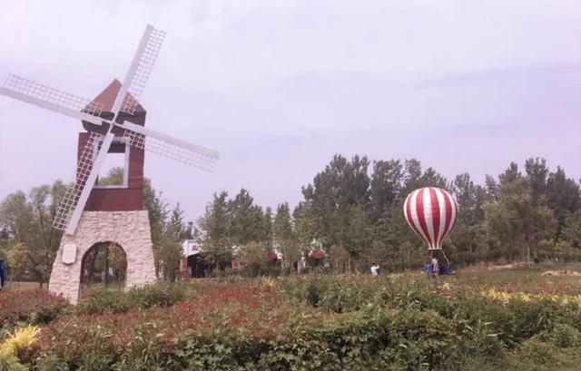 郑州薰衣草庄园，等夏天来了一起去看薰衣草