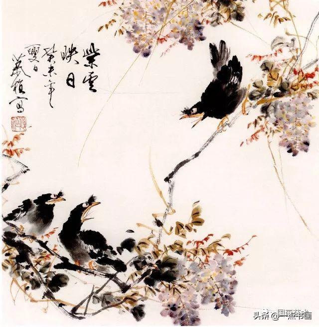 藤蔓植物，藤本花卉之紫藤画法（藤蔓植物图片）