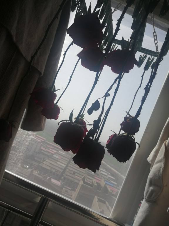 鲜花如何做成干花，如何把鲜花做成干花（快死的鲜花别急着扔）