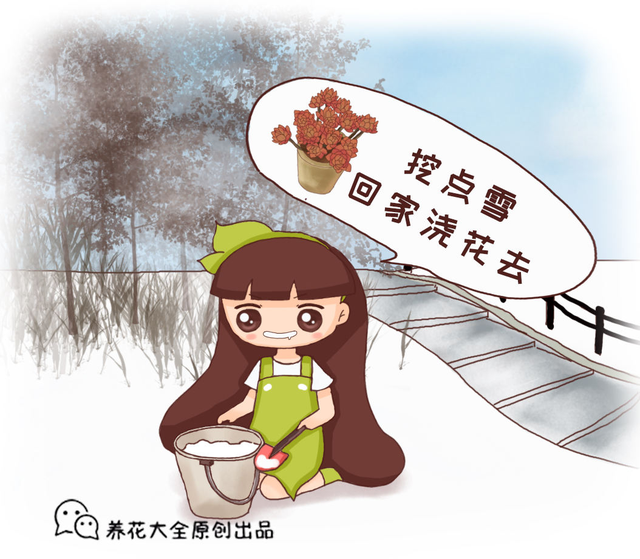 雪水浇花好不好 雪水干净么，雪水浇花好不好（雪水养花效果好）