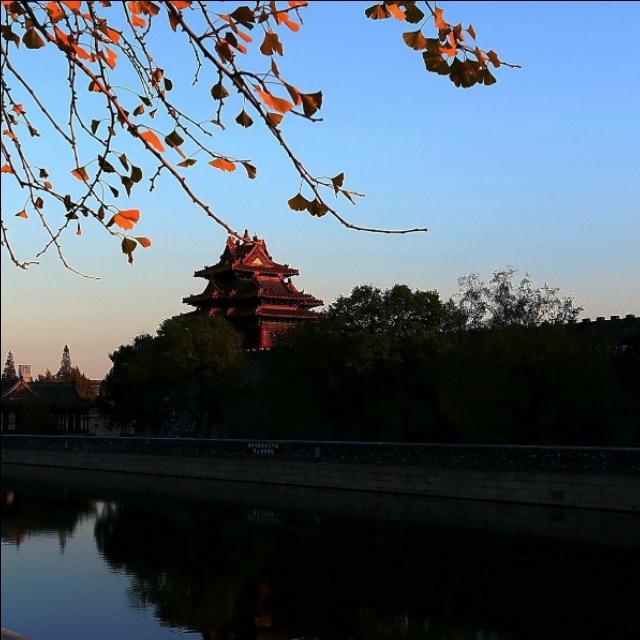 职场专用高逼格微信头像，女生，爸爸妈妈头像