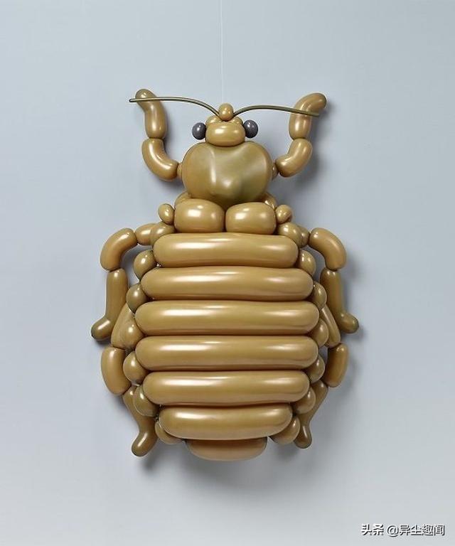 用气球做小动物教程，教你用气球做小狗的方法（日本艺术家用气球制作了令人难以置信的动物模型）