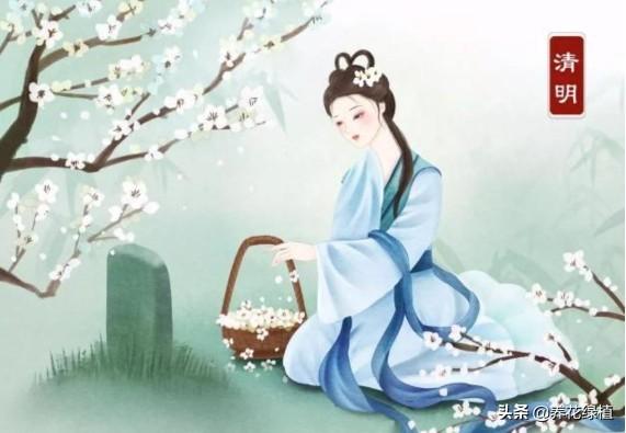 清明祭祀的禁忌，清明祭祀的禁忌有哪些（你知道在扫墓祭祖传统习俗中）