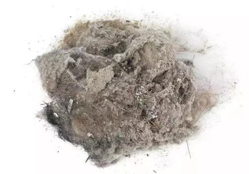 小螨虫的危害有多大，小小的螨虫对人体的危害有多大