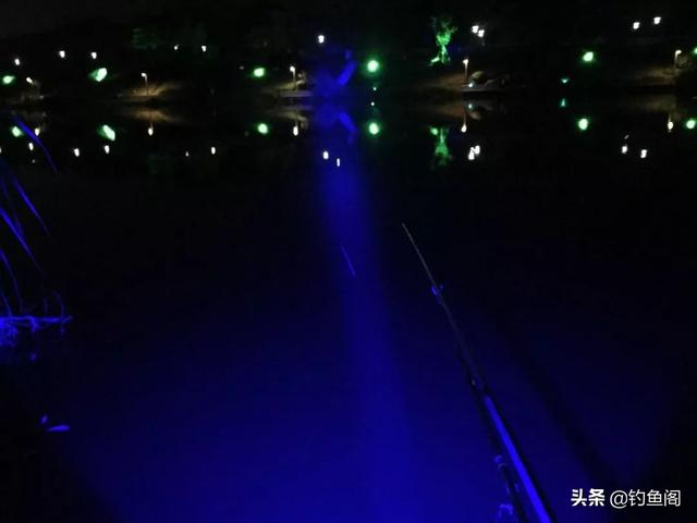 秋季钓鲢鳙方法，秋季钓鲢鳙方法和技巧（秋季钓鲢鳙要点）