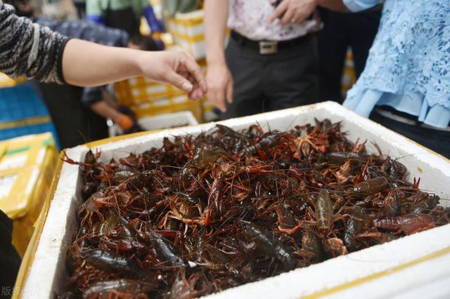 龙虾怎么洗，洗得干净又彻底