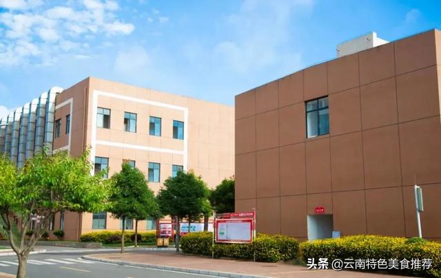 云南新东方烹饪学校，云南新东方烹饪学校怎么样（2021年来云南新东方学早餐制作）