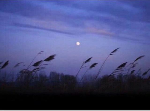 qq名片背景图片，qq名片背景图片怎么换（QQ名片背景图）