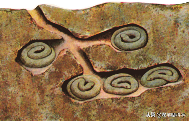 蛇是怎么冬眠的，蛇冬天怎么休眠（蛇在冬眠时“任鼠宰割”）