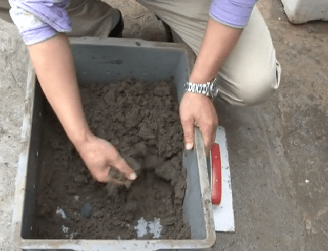 黄豆怎么泡才快，怎样泡豆芽又快又好（农村大叔10平方米沙土里撒黄豆）