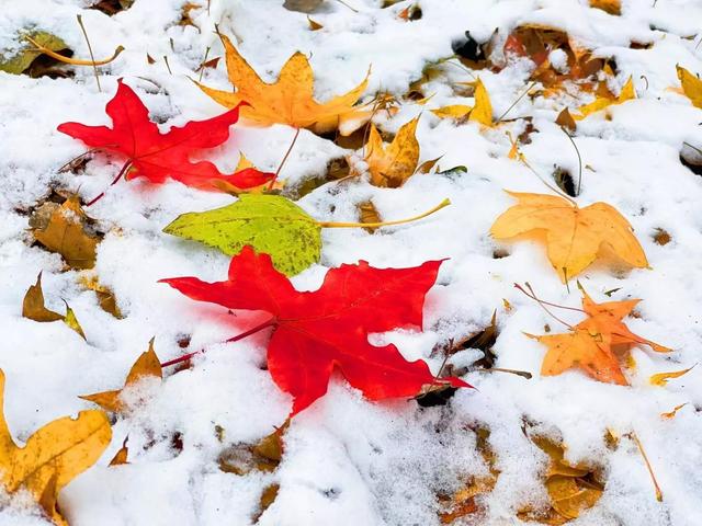 慌慌张张匆匆忙忙，匆匆忙忙慌慌张张是什么歌（慌慌张张，匆匆忙忙的一年）