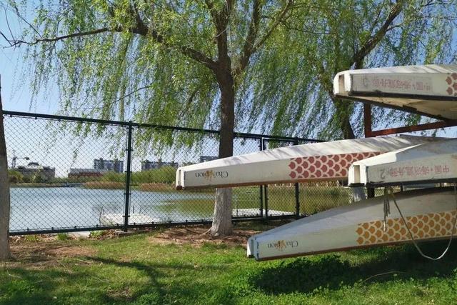 南开大学滨海学院是几本，南开大学滨海学院排名多少是几本（<一>南开大学滨海学院）