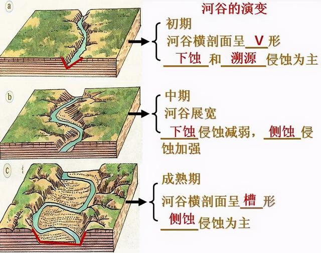 百科讲解亚马逊河，为什么没有一座桥可以跨越亚马逊