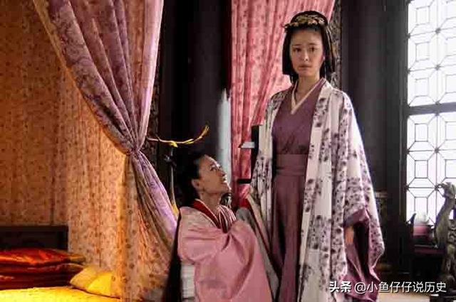 窦漪房简介，窦漪房的简介（窦漪房是如何拥有开挂的一生的）