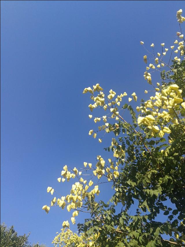 冬天的雪，冬天的雪是什么仿写一段话（散文《冬天的雪》）