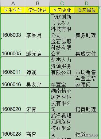 wps自动换行，wps文档输入几个文字就自动换行该怎么办（如用自动换行在单元格中显示多行文字）