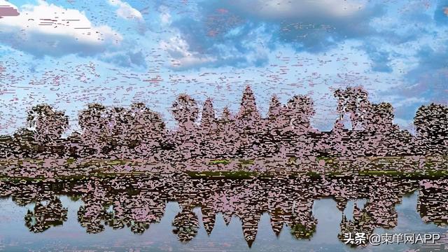 cambodia是哪个国家，cambodia是哪个国家货币2000（这是我的最新简历）
