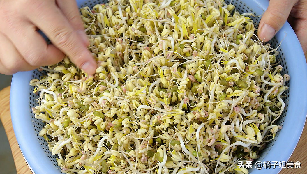 圖片[9]-如何在家生綠豆芽-起舞食譜網(wǎng)