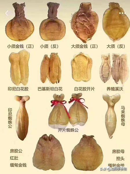 长期吃花胶的害处 ，每天吃花胶有什么坏处吗（想吃鱼胶但又不是很懂的朋友）