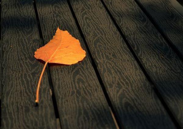 半路夫妻是什么意思，什么叫半路夫妻（半路夫妻，靠不住？真的吗）