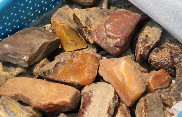 琥珀形成的条件，琥珀形成的四个条件是什么（最有文化底蕴的有机宝石——琥珀）