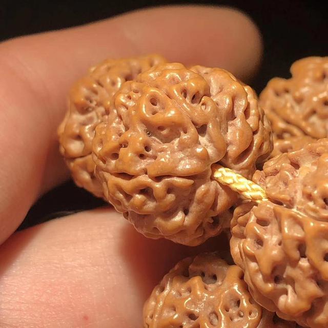 凝脂是什么意思，金刚菩提中的“凝脂”