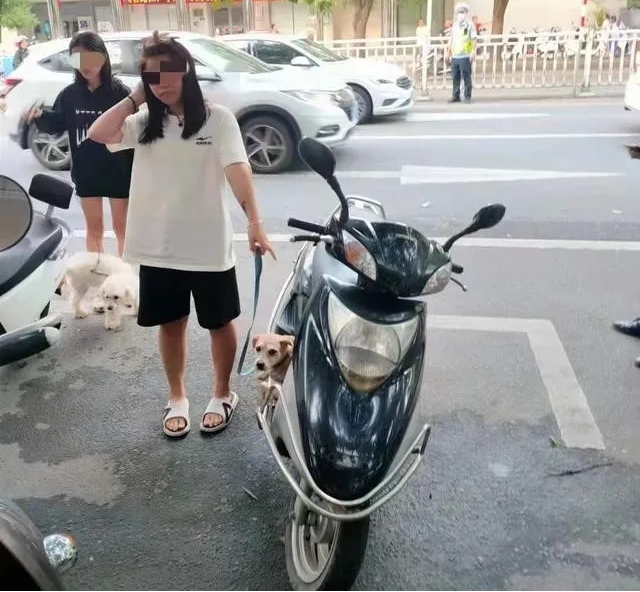 驾驶报废摩托车辆上路怎么处罚，驾驶报废摩托车上路怎么处理（驾驶报废车上路，会有什么后果）