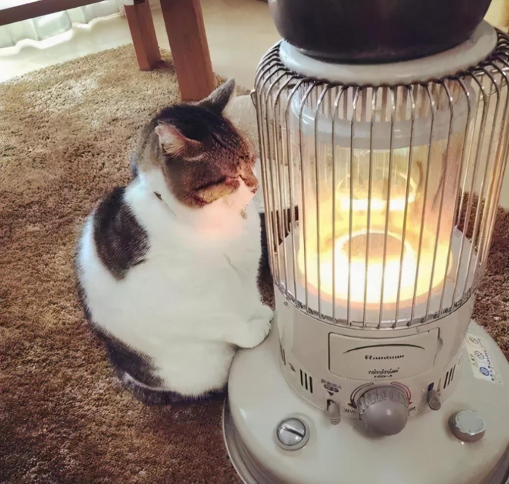 扬州市气候概况：最冷月为1月，月平均气温1.8℃（扬州最冷的日子要来了）