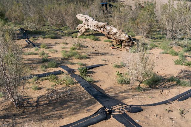 甘肃的沙漠主要分布在哪两个市，中国第二“罗布泊”甘肃沙漠县