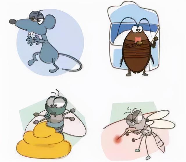 卫生间出现蟑螂的原因（了解了它的“死穴”）