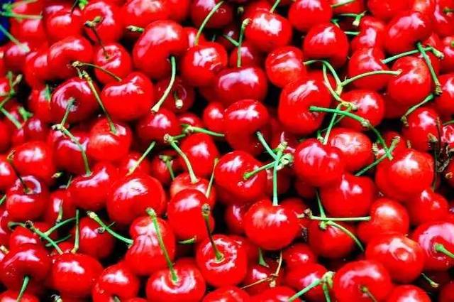 汶川海拔多少米，四川汶川县海拔多少米（什么是汶川）