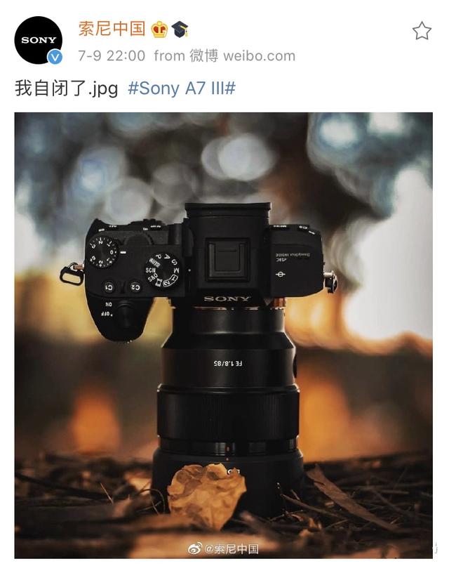 2020年度最佳数码相机七大推荐，除了尼康佳能还有谁？