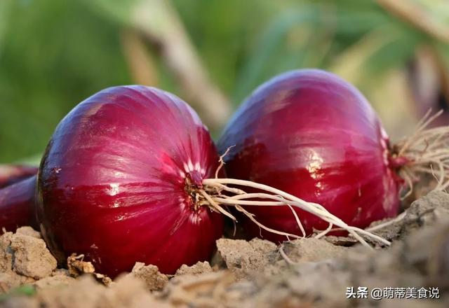 切洋葱不会流泪的方法，切洋葱不会流泪的十个方法（您知道洋葱怎么切不流泪吗）