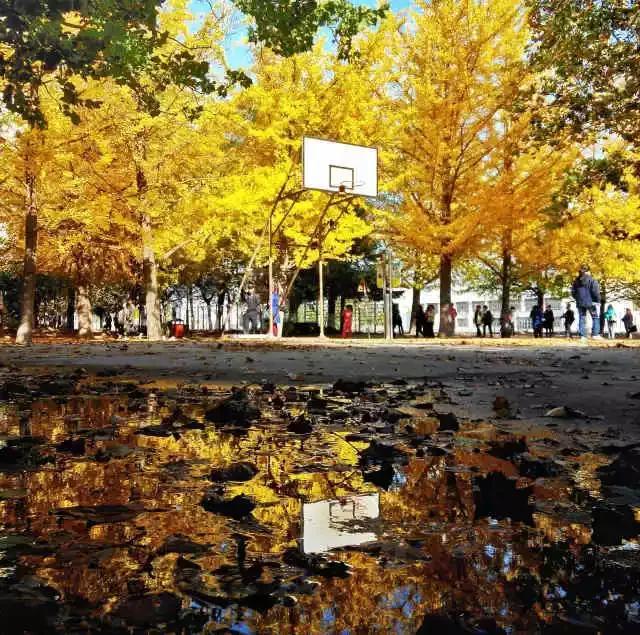 辽东学院宿舍条件怎么样，辽东学院宿舍几人间（辽宁省普通高等院校）