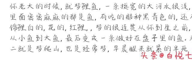 梦见黑母猪带一群小猪寓意，梦见老母猪带一群小猪是什么意思（怀孕时都梦过什么）