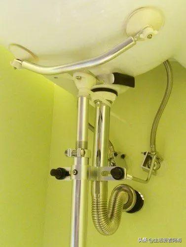 霸王芋，卫生间潮湿、发霉、不通风（霸王芋的养殖方法和注意事项）