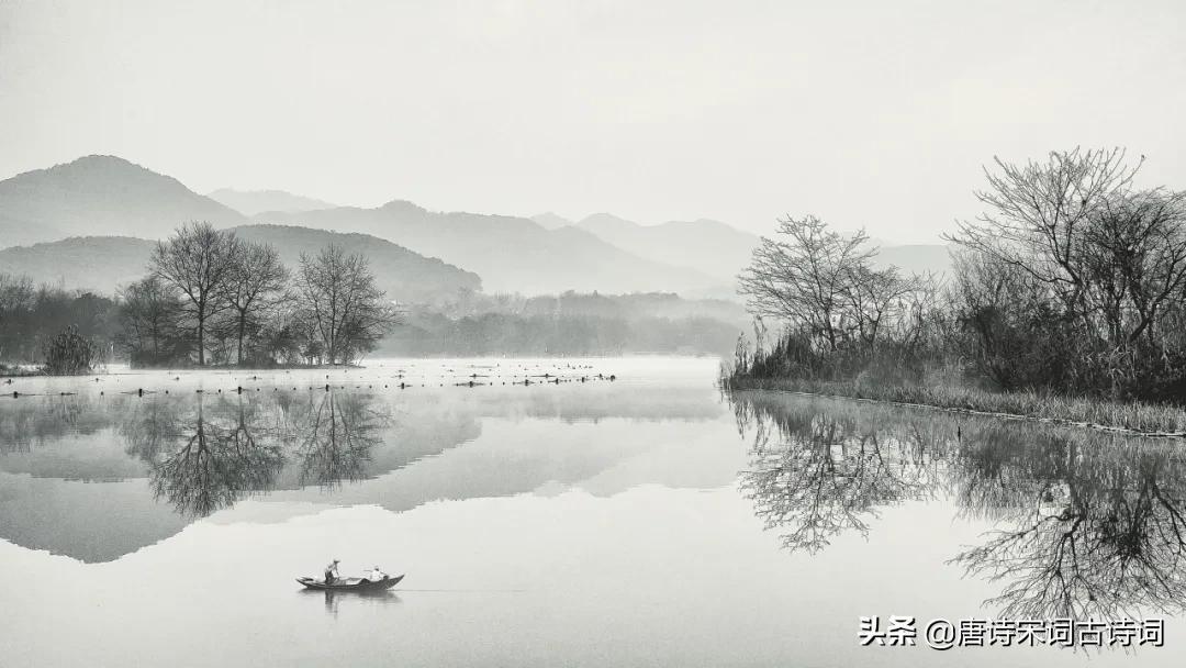 空山新雨后全诗赏析(天气晚来秋全文翻译)