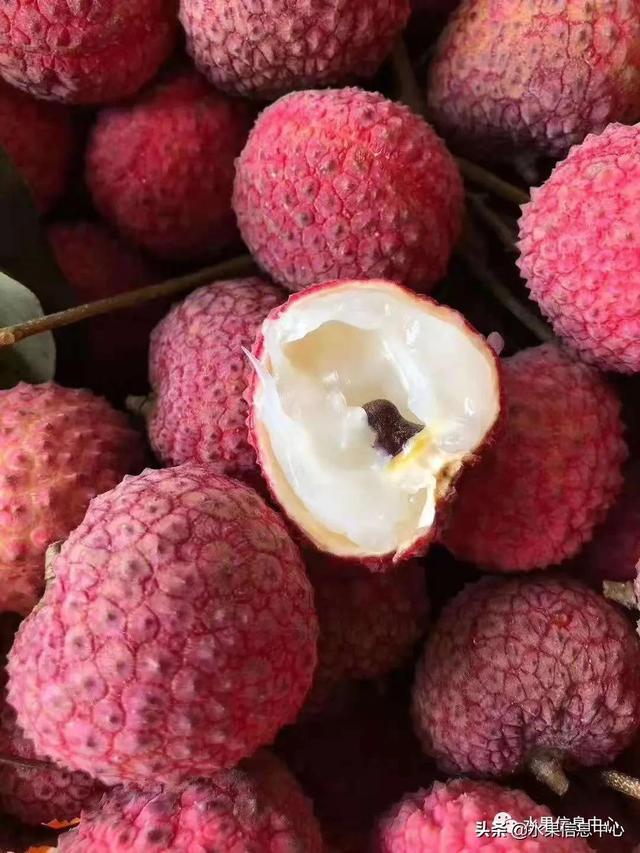 盘点15种常见荔枝，荔枝品种哪个最贵（桂味、糯米糍、新球蜜荔、无核荔枝等）