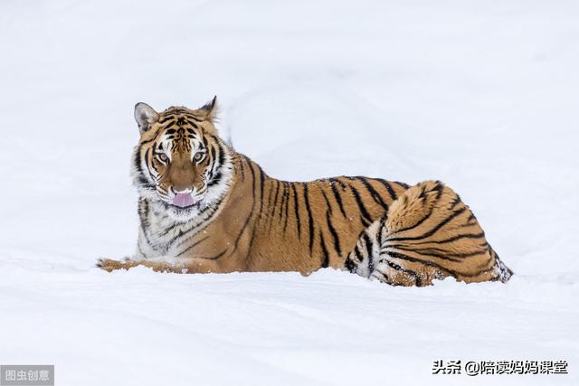 人加一笔或两笔变新字，人加1笔变新字（小学语文汉字偏旁部首训练）