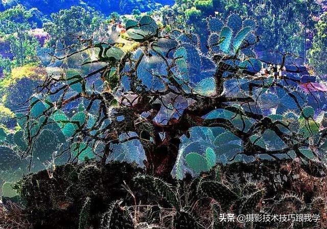 曝光是什么意思，违法曝光是什么意思（用简单通俗的语言告诉你拍摄技法）