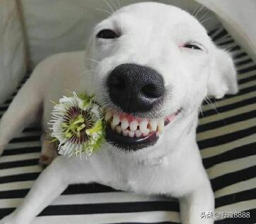 右眼跳女人是什么预兆，女人右眼跳是什么预兆（你相信这些预兆吗）