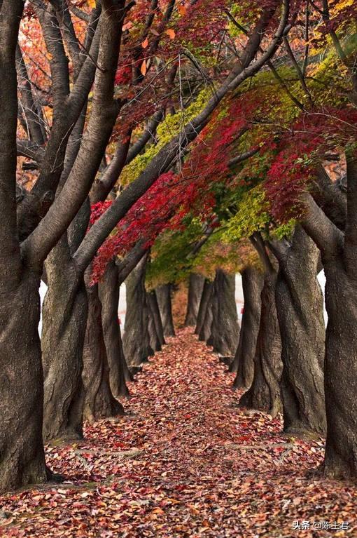 内蒙古人所说的风季是哪个季节，蒙古人的风季是什么季节（中国历史地理常识大全）