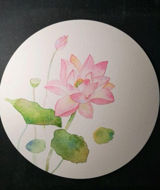 荷叶怎么画漂亮又简单，怎么简单画荷花荷叶（画荷花原来很简单）