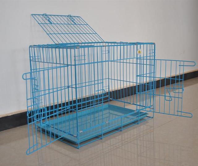 猫舍（猫舍怎么开），怎样从小白开好一家猫舍（猫舍适合开在哪）