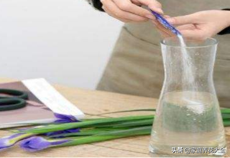 玫瑰花怎么保存，鲜花如何保存（花店御用保鲜秘籍）