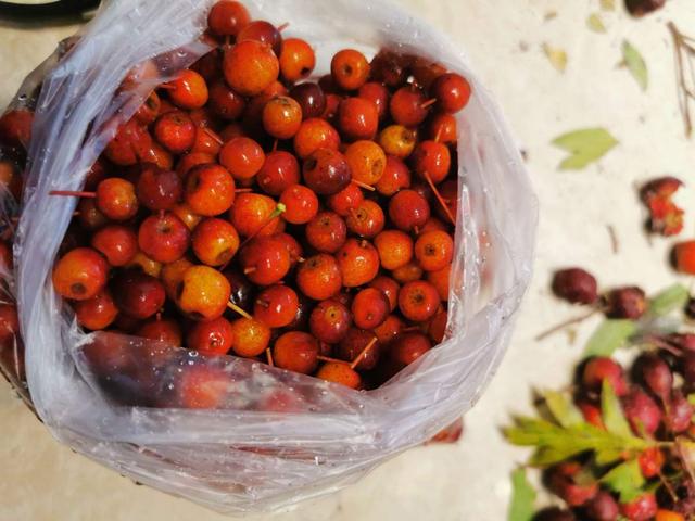 新鲜山楂的吃法，新鲜山楂的吃法和禁忌（山楂还可以这样吃）