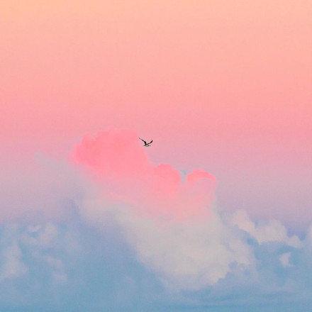 粉色头像微信，粉色头像（粉色朦胧少女心的好看头像）