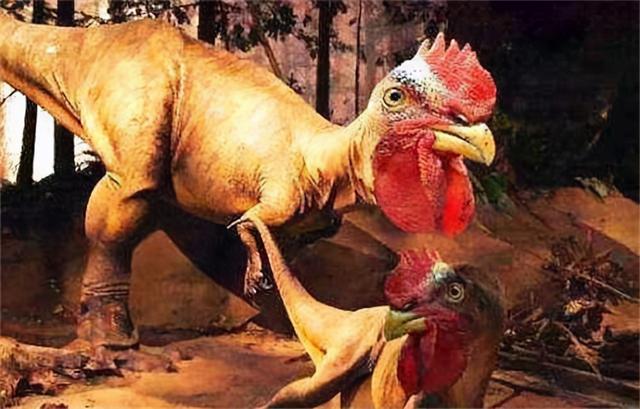 鸡是哺乳动物吗，哺乳动物有哪些（它们之间相差6000万年）